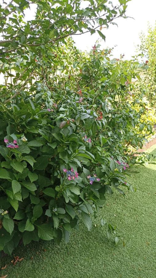 Orthevielle La Cle De Vos Reves B&B 외부 사진