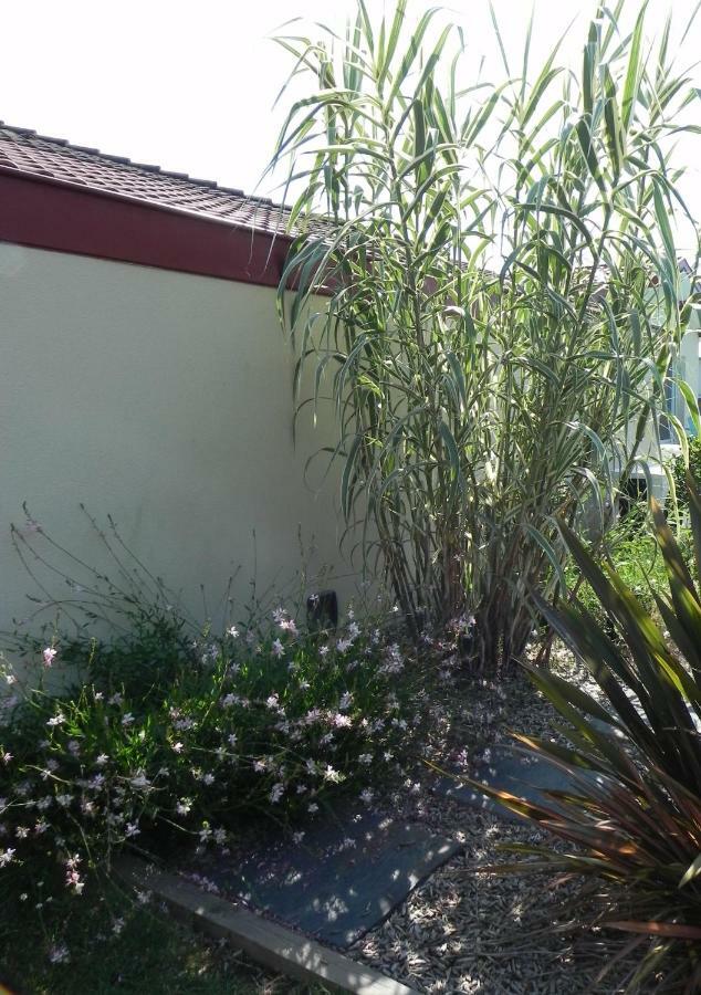 Orthevielle La Cle De Vos Reves B&B 외부 사진