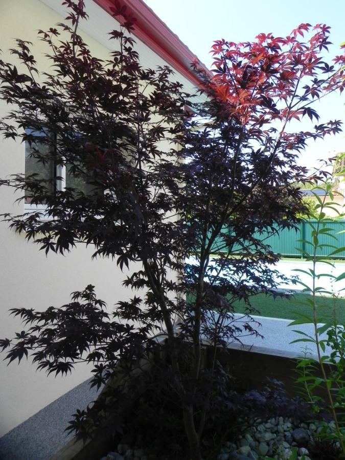 Orthevielle La Cle De Vos Reves B&B 외부 사진